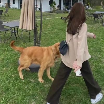 间谍亚契第十四季